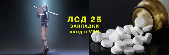 ПСИЛОЦИБИНОВЫЕ ГРИБЫ Ладушкин