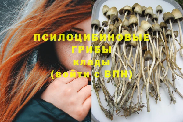 МДМА Алексеевка