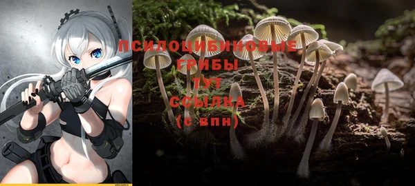 mix Алексин