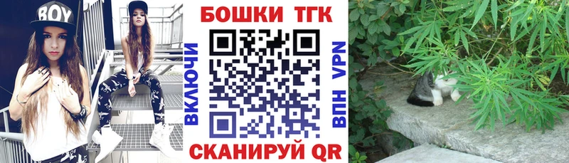 Бошки Шишки планчик  Пролетарск 